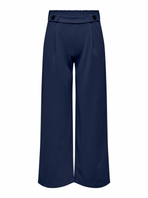 JDYEGGO NEW LONG PANT NOOS BLACK IRIS